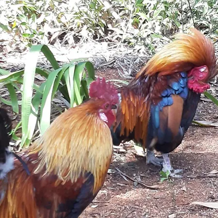 Апартаменты Cascais-estoril Beachfront Эшторил