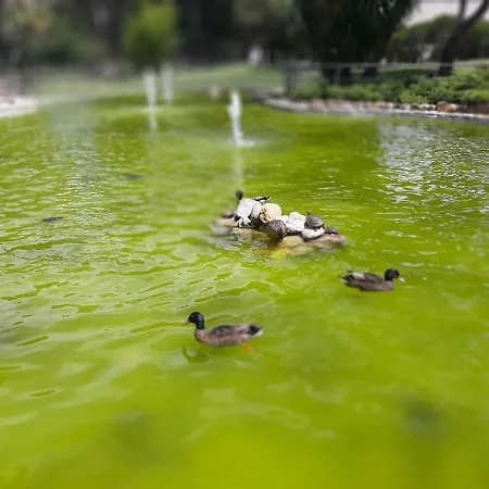 Апартаменты Cascais-estoril Beachfront