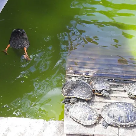 Cascais-estoril Beachfront Апартаменты