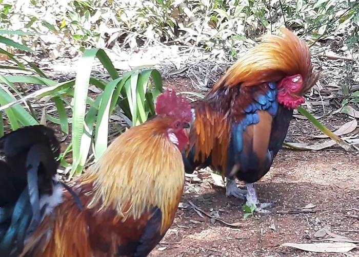 Lejlighed Cascais-estoril Beachfront Estoril