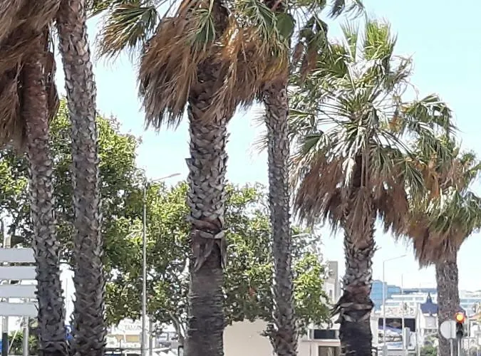 Cascais-estoril Beachfront Daire *